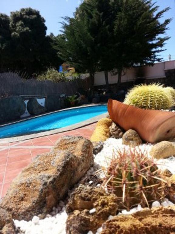 La Chosita Villa Icod De Los Vinos Kamer foto
